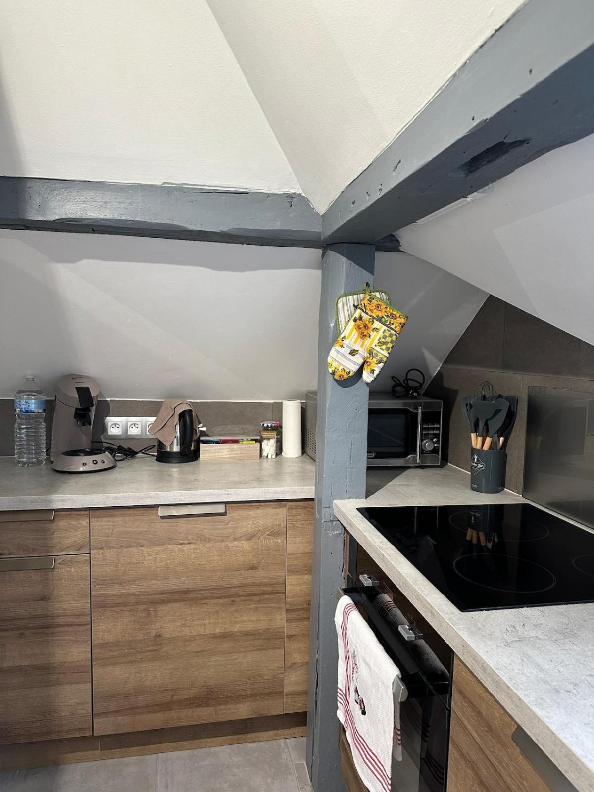 Appartement Au Pays Des Cigognes Colmar