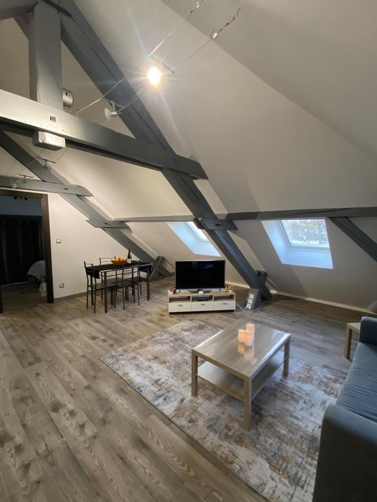 Au Pays Des Cigognes Appartement Colmar
